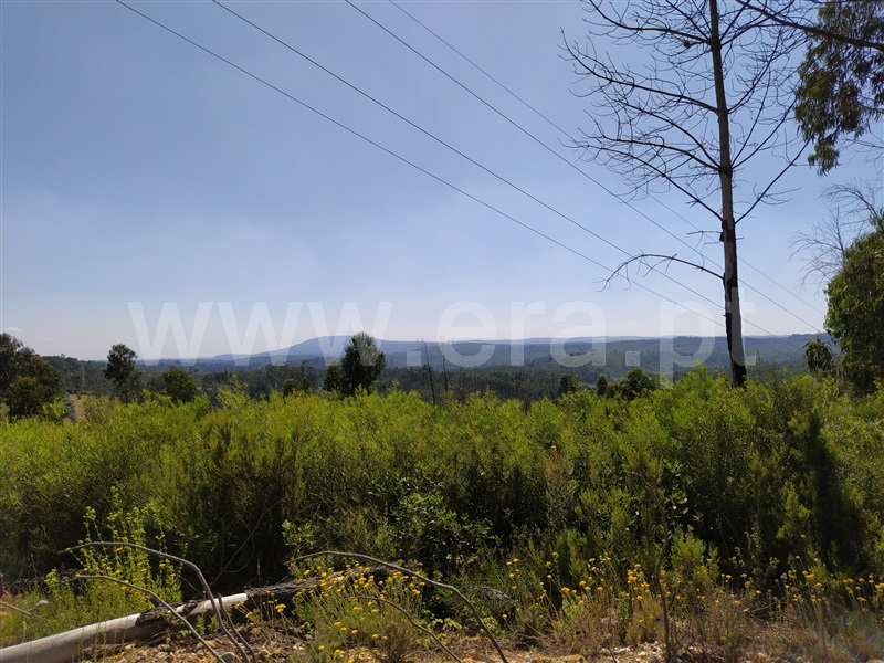 Terreno  Tomar, Sabacheira - 1094338 - 6