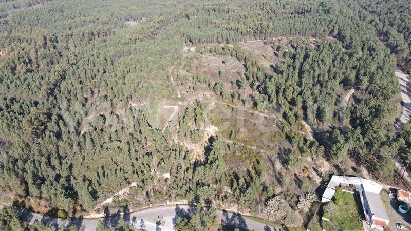 Terreno / Tomar, Sabacheira