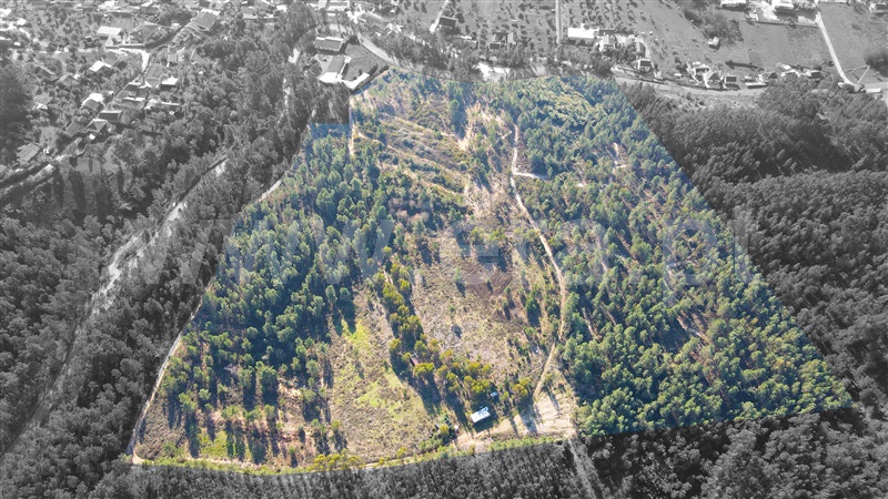 Terreno  Tomar, Sabacheira - 1120427 - 2