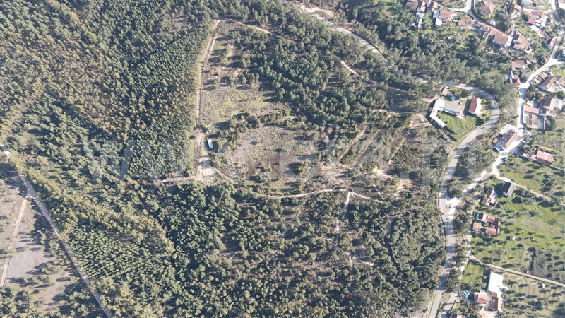 Terreno  Tomar, Sabacheira - 1120427 - 3