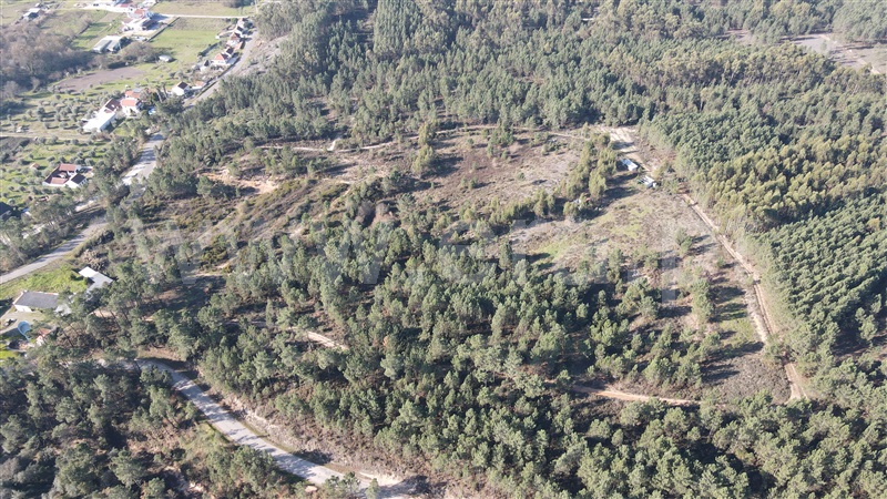 Terreno  Tomar, Sabacheira - 1120427 - 4