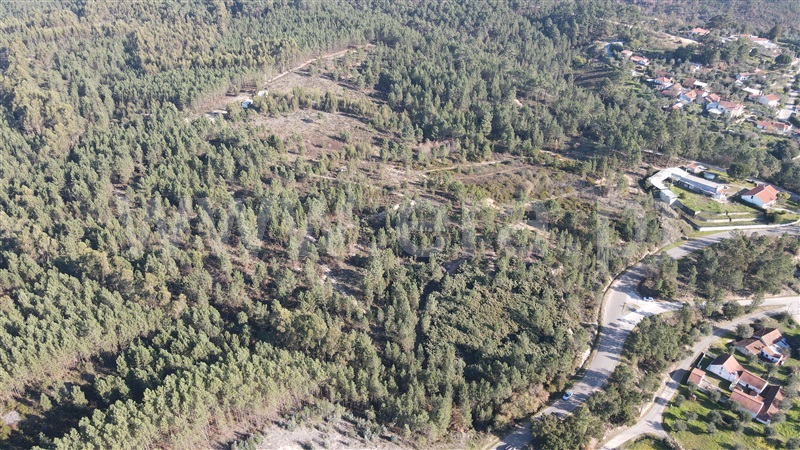 Terreno  Tomar, Sabacheira - 1120427 - 7