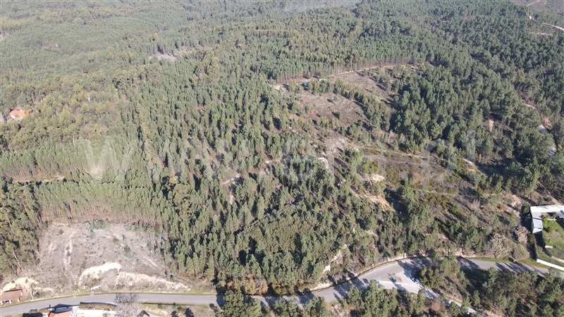 Terreno  Tomar, Sabacheira - 1120427 - 9
