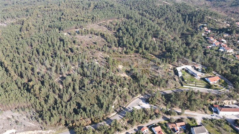 Terreno  Tomar, Sabacheira - 1120427 - 10