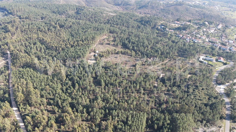 Terreno  Tomar, Sabacheira - 1120427 - 11