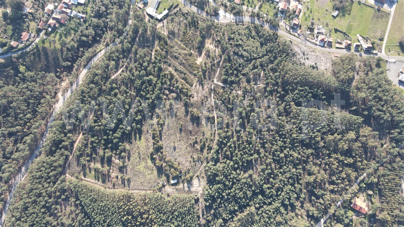 Terreno  Tomar, Sabacheira - 1120427 - 12