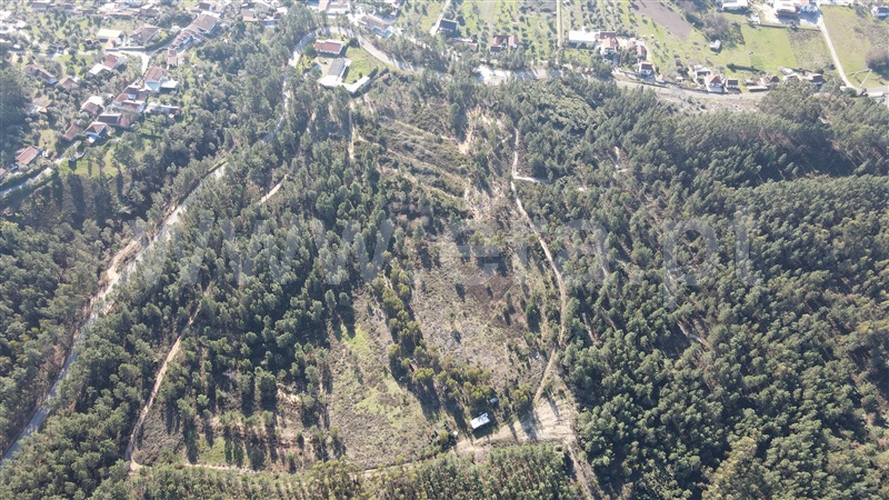 Terreno  Tomar, Sabacheira - 1120427 - 13