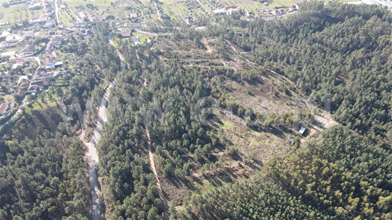 Terreno  Tomar, Sabacheira - 1120427 - 14