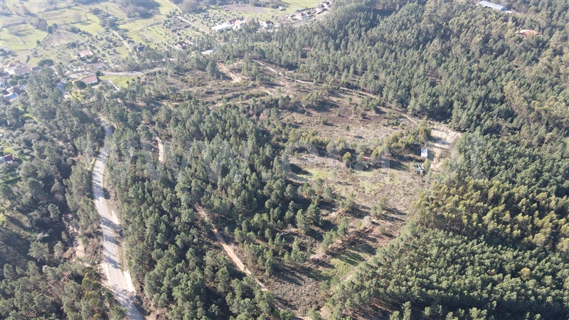 Terreno  Tomar, Sabacheira - 1120427 - 15