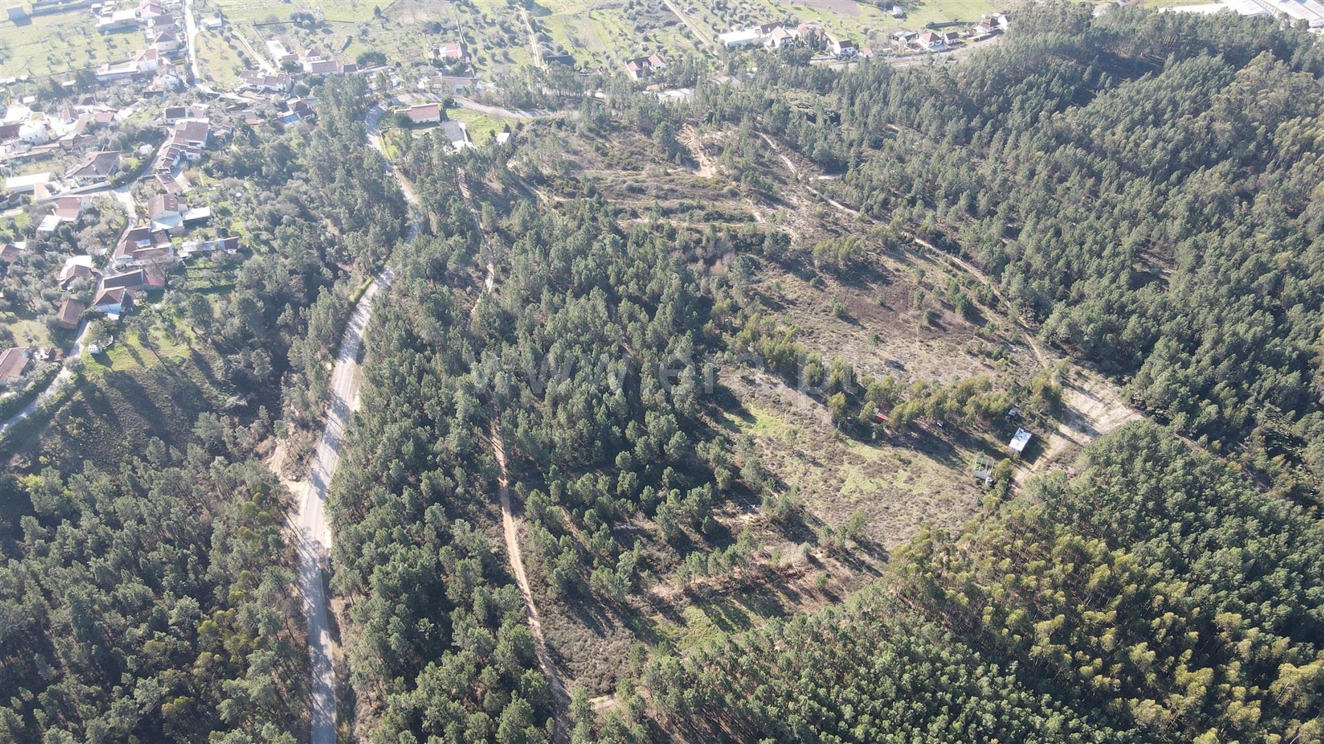 Land for sale in Tomar, Portugal — €195,000