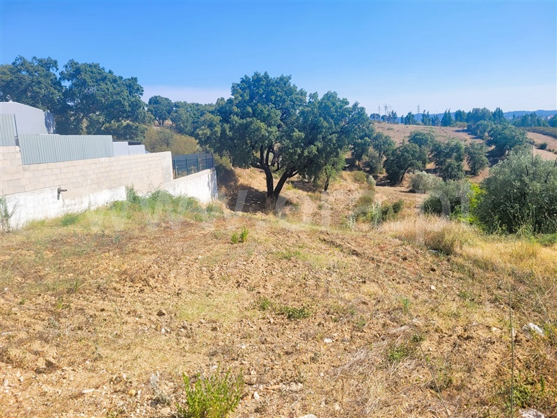 Terreno  Tomar, São Pedro de Tomar - 1351613 - 2