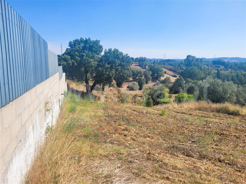 Terreno  Tomar, São Pedro de Tomar - 1351613 - 3