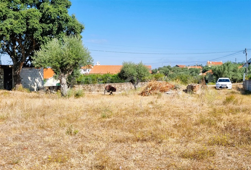 Terreno  Tomar, São Pedro de Tomar - 1431657 - 2
