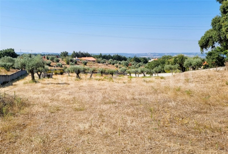 Terreno  Tomar, São Pedro de Tomar - 1431657 - 4