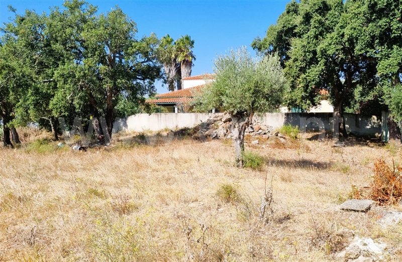Terreno  Tomar, São Pedro de Tomar - 1431657 - 5