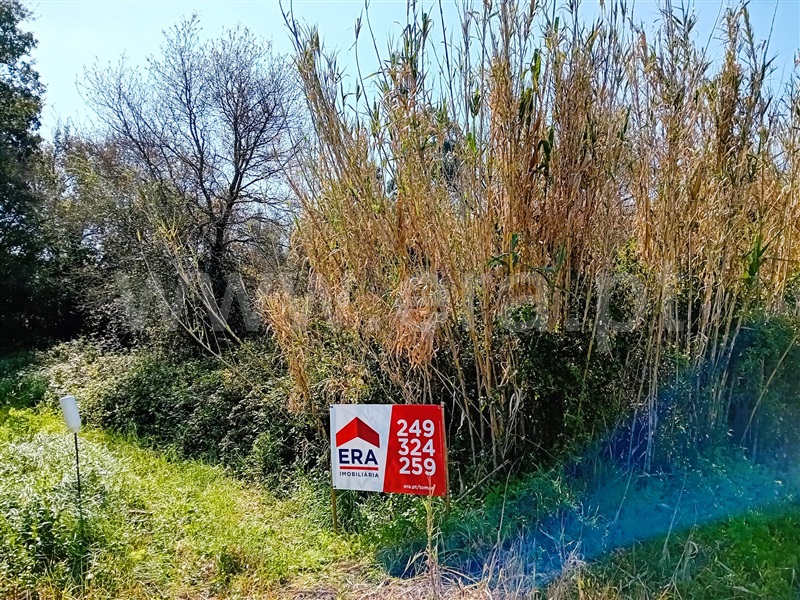 Terreno / Tomar, São Pedro de Tomar