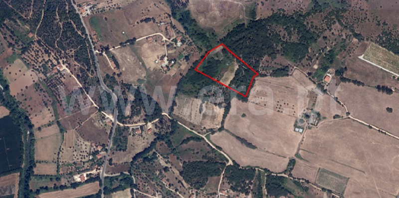 Terreno / Tomar, São Pedro de Tomar
