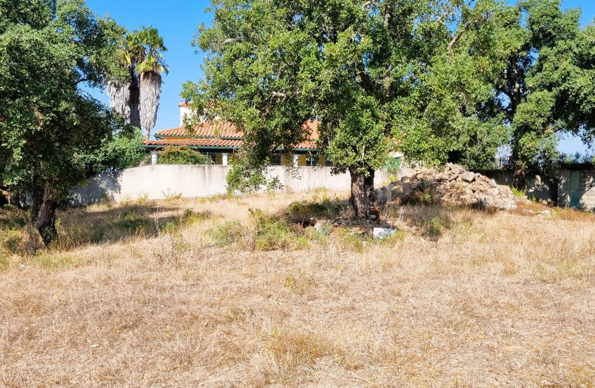 Land for sale in Tomar, Portugal — €70,000