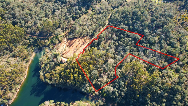 Terreno  Tomar, Serra e Junceira - 1271830 - 12