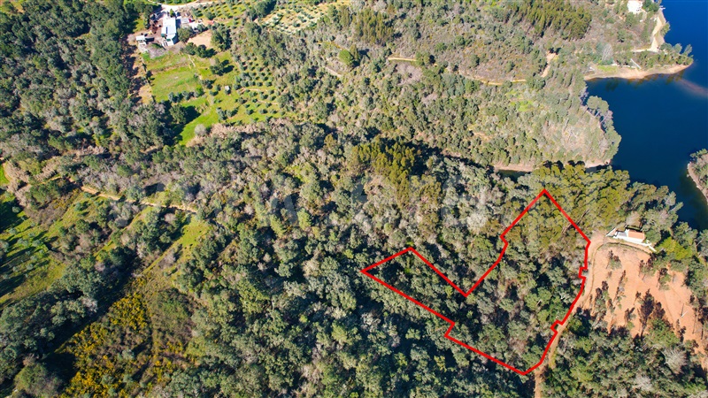 Terreno  Tomar, Serra e Junceira - 1271830 - 13