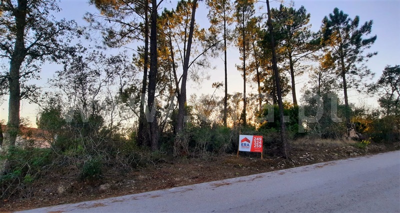 Terreno  Tomar, Serra e Junceira - 1351297 - 4