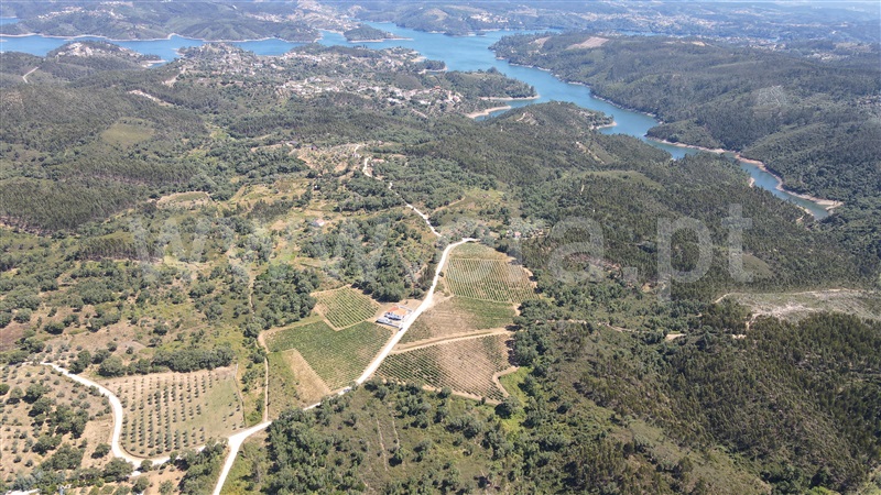 Terreno / Tomar, Serra e Junceira