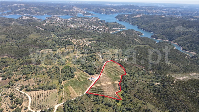 Terreno  Tomar, Serra e Junceira - 1418750 - 3