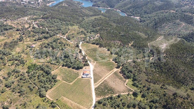 Terreno  Tomar, Serra e Junceira - 1418750 - 5