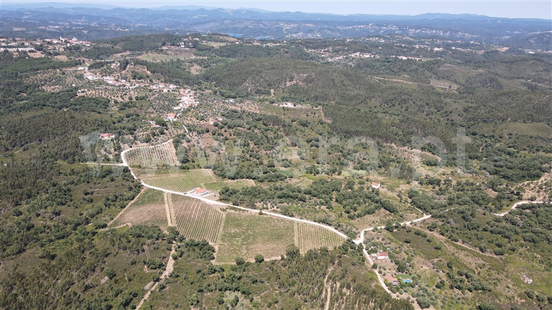 Terreno  Tomar, Serra e Junceira - 1418750 - 10