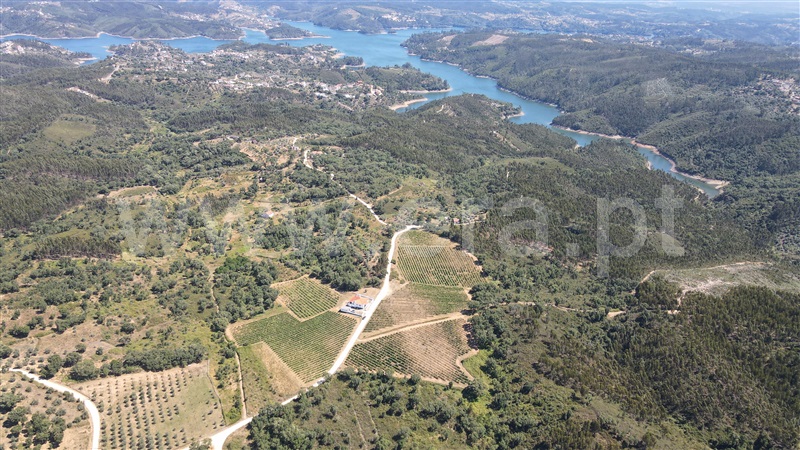 Terreno  Tomar, Serra e Junceira - 1418750 - 11