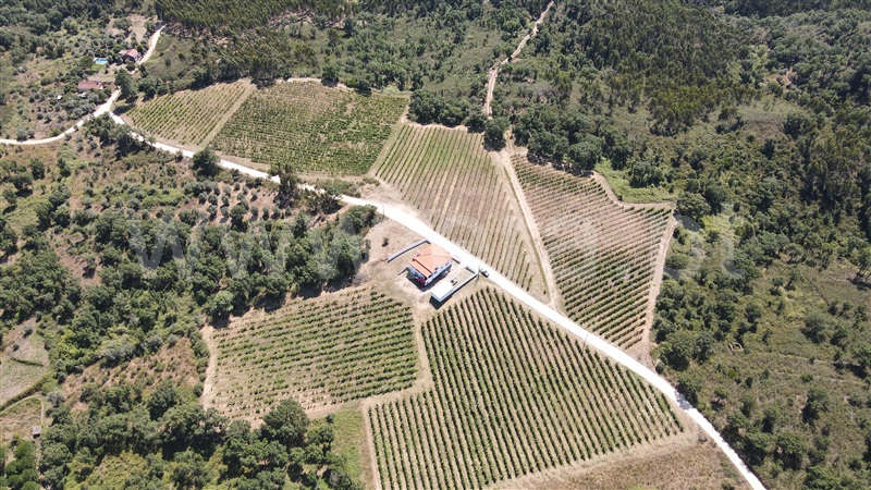 Terreno  Tomar, Serra e Junceira - 1418750 - 12