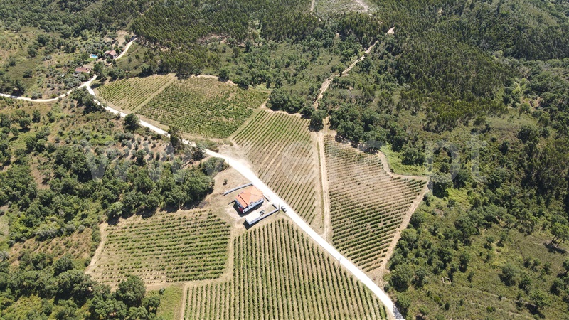 Terreno  Tomar, Serra e Junceira - 1418750 - 13
