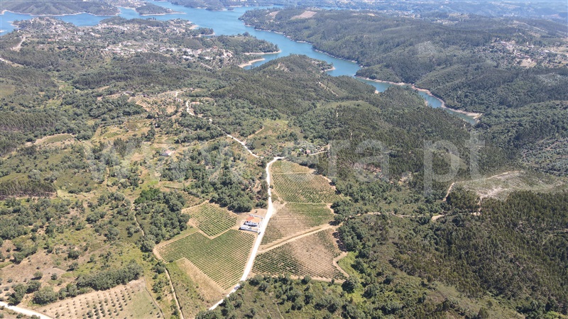Terreno  Tomar, Serra e Junceira - 1418750 - 15