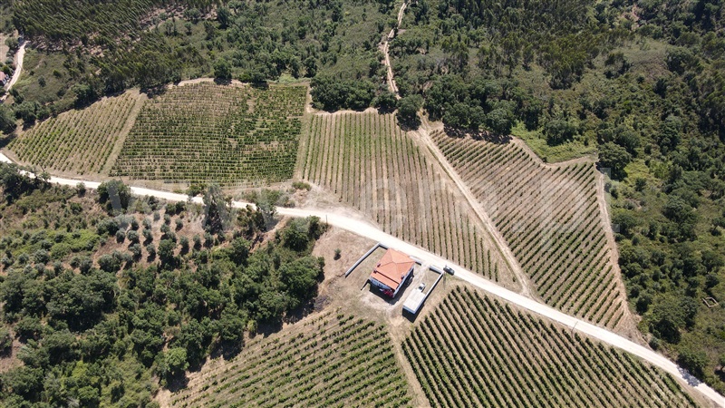 Terreno  Tomar, Serra e Junceira - 1418750 - 17