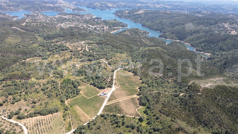 Terreno  Tomar, Serra e Junceira - 1418750 - 18