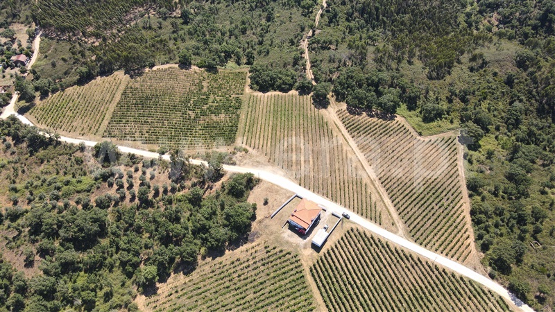 Terreno  Tomar, Serra e Junceira - 1418750 - 19