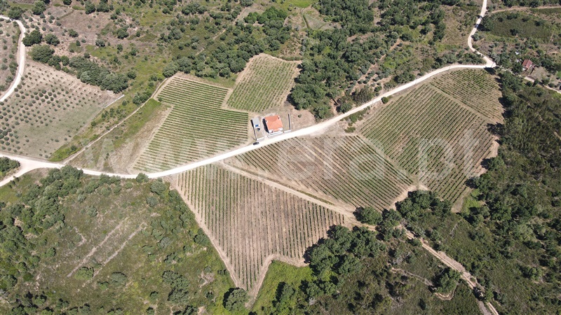 Terreno  Tomar, Serra e Junceira - 1418750 - 20