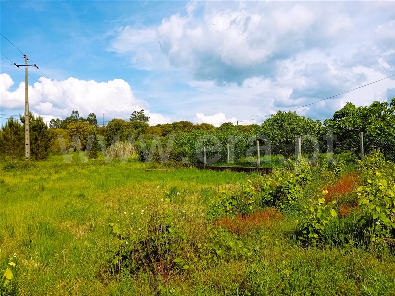 Terreno  Tomar, Serra e Junceira - 1487617 - 2