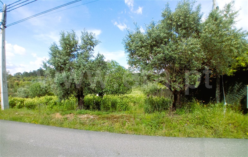 Terreno  Tomar, Serra e Junceira - 1487617 - 4