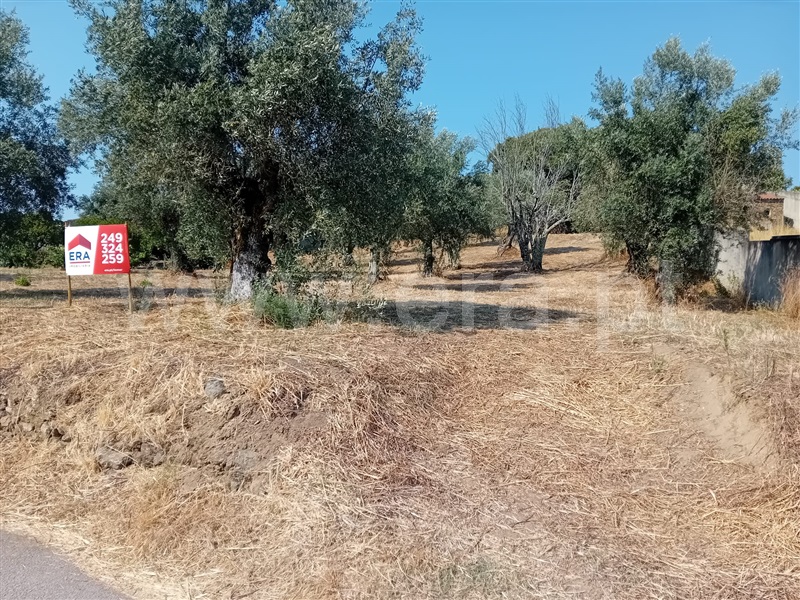 Terreno / Tomar, Serra e Junceira