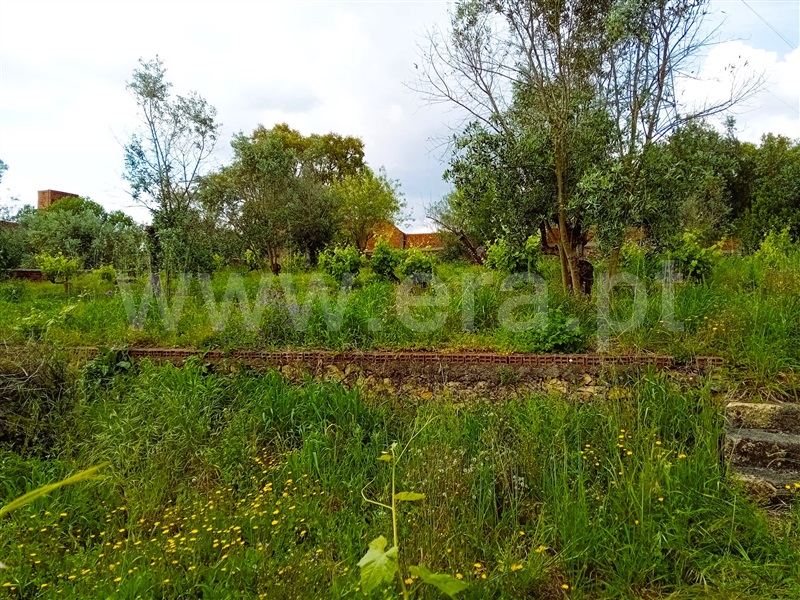 Terreno  Tomar, Serra e Junceira - 1487709 - 4