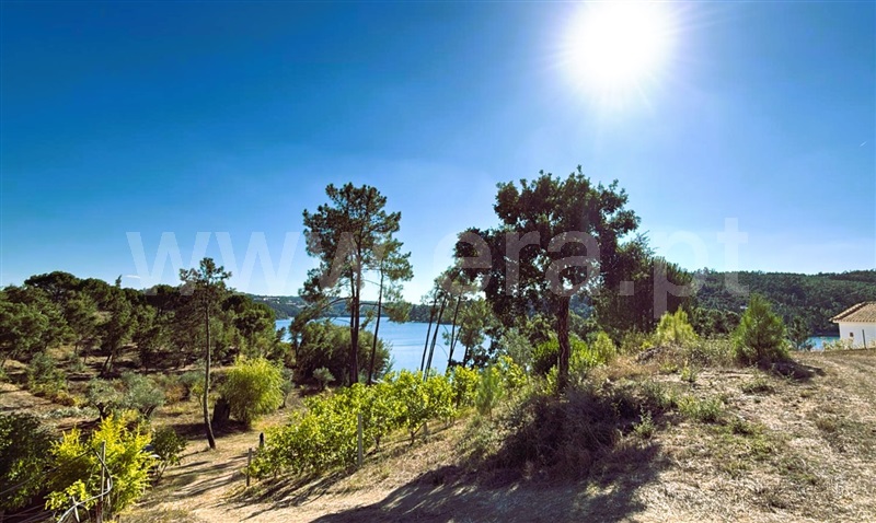 Terreno  Tomar, Serra e Junceira - 1514509 - 2