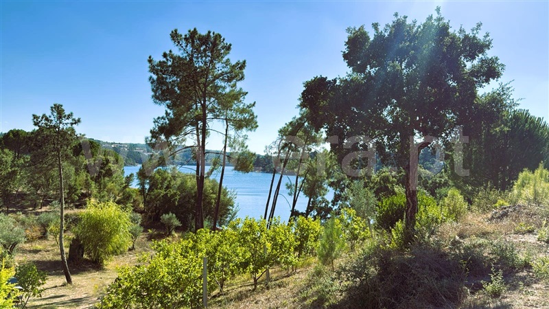 Terreno  Tomar, Serra e Junceira - 1514509 - 3