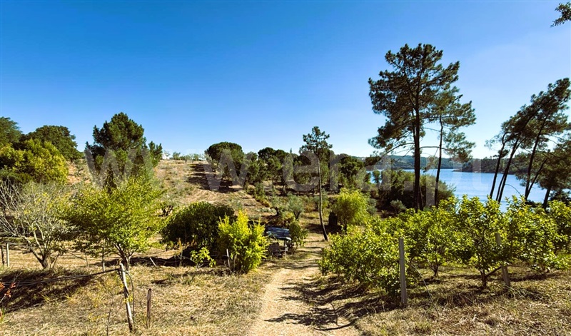 Terreno  Tomar, Serra e Junceira - 1514509 - 4