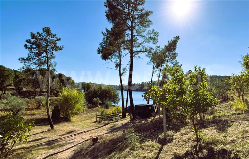 Terreno  Tomar, Serra e Junceira - 1514509 - 5