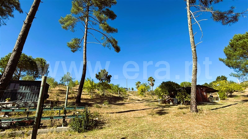 Terreno  Tomar, Serra e Junceira - 1514509 - 10
