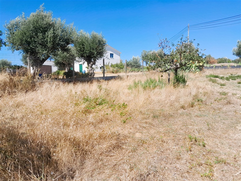 Terreno  Tomar, Tomar (São João Baptista) e Santa Maria dos Olivais - 1345021 - 2