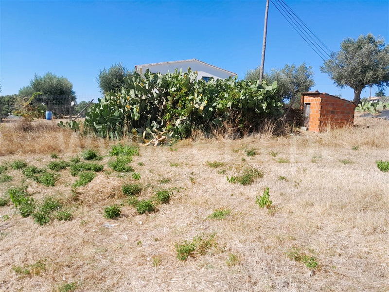 Terreno  Tomar, Tomar (São João Baptista) e Santa Maria dos Olivais - 1345022 - 3