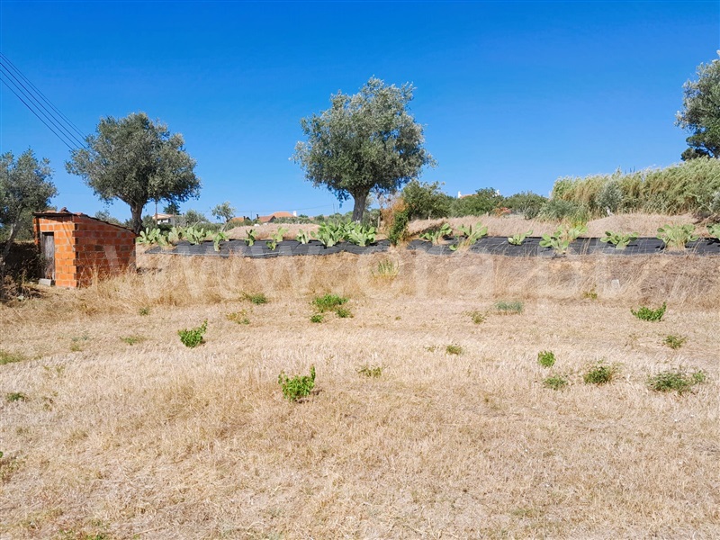 Terreno  Tomar, Tomar (São João Baptista) e Santa Maria dos Olivais - 1345022 - 4