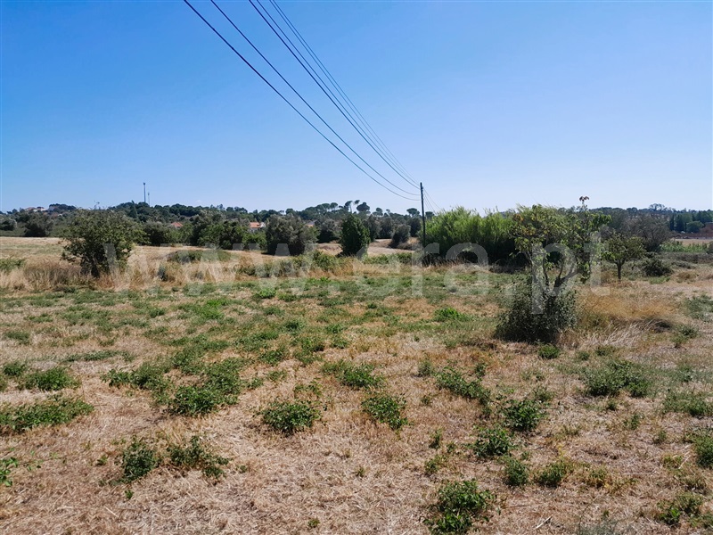 Terreno  Tomar, Tomar (São João Baptista) e Santa Maria dos Olivais - 1345022 - 5